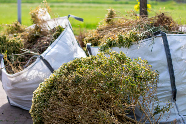 Attic Cleanout Services in Johnstown, CO